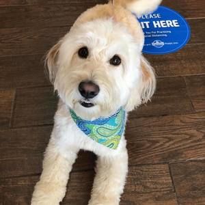 Meet your Posher, Amy